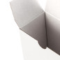 White Oblong Box