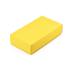 Kaheosaline kollane papist kinkekarp | 200x110x50 mm | Superbox
