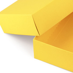 Kaheosaline kollane papist kinkekarp | 200x110x50 mm | Superbox