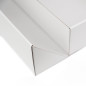 Double Door White Gift Box with Ribbon