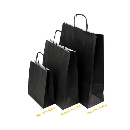 Large Black Paper Bag with Twist Paper Handles
