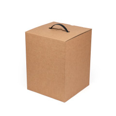 Plastic black handle for gift box