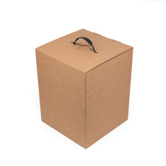 Example of a box with a black plastic handle
