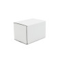 Rectangle White Shipping Box, 10.2 cm Length