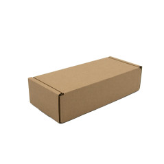 Elongated Mailing Box