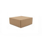 Brown Square Box without Window for Packing and Shipping Items