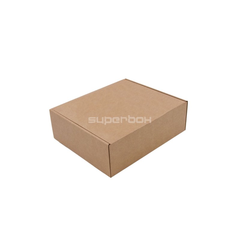 Standard Size Brown Gift Box for Shipping