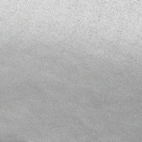 Siidipaber Hõbedane, Nr. 800