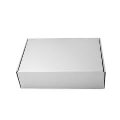 Metallic Silver Box