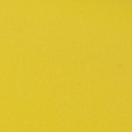 Siidipaber Kollane, Nr. 11