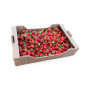 Corrugated Cardboard Tray for Fruits and Vegetables