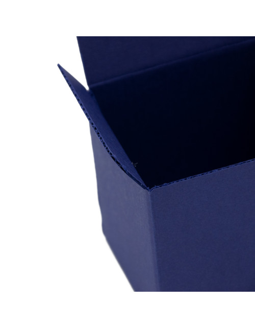 Sinine karp - kuubik suveniiride pakkimiseks