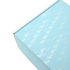 Blue A4 Box with Silver Foil Print