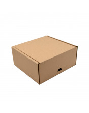Прямоугольная коробка натурального коричневого цвета FEFCO 0427