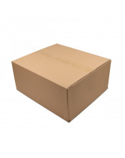 Транспортировочный пакет для упаковки 4 коробок B00015