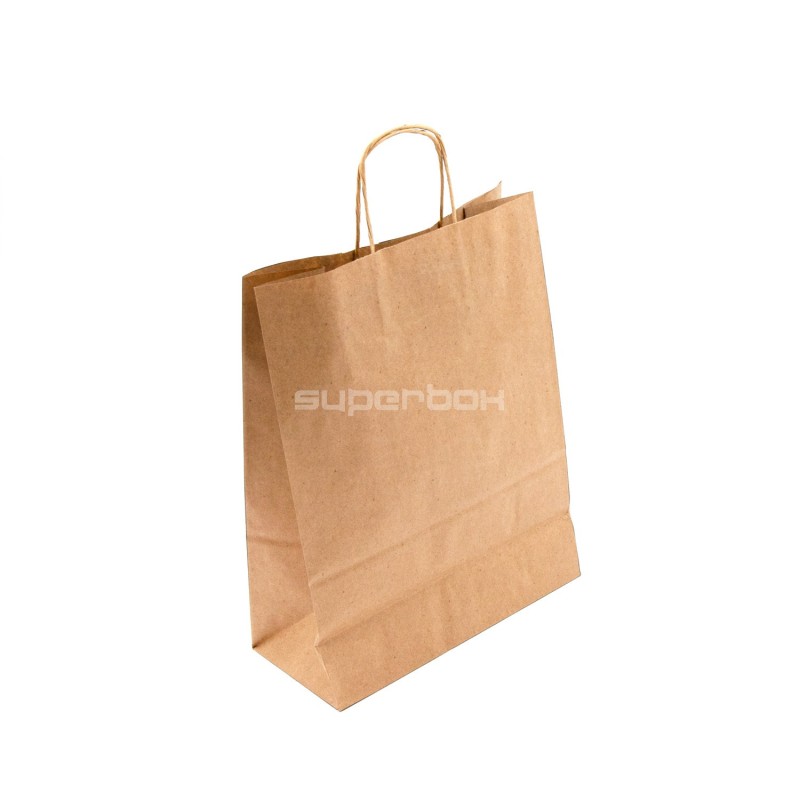 Brown Eco Paper Bag with Twist Paper Handles Brown Eco Paper Bag with Twist Paper Handles