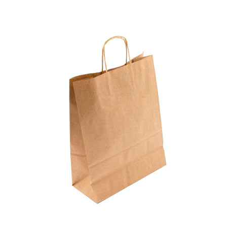 Brown Eco Paper Bag with Twist Paper Handles