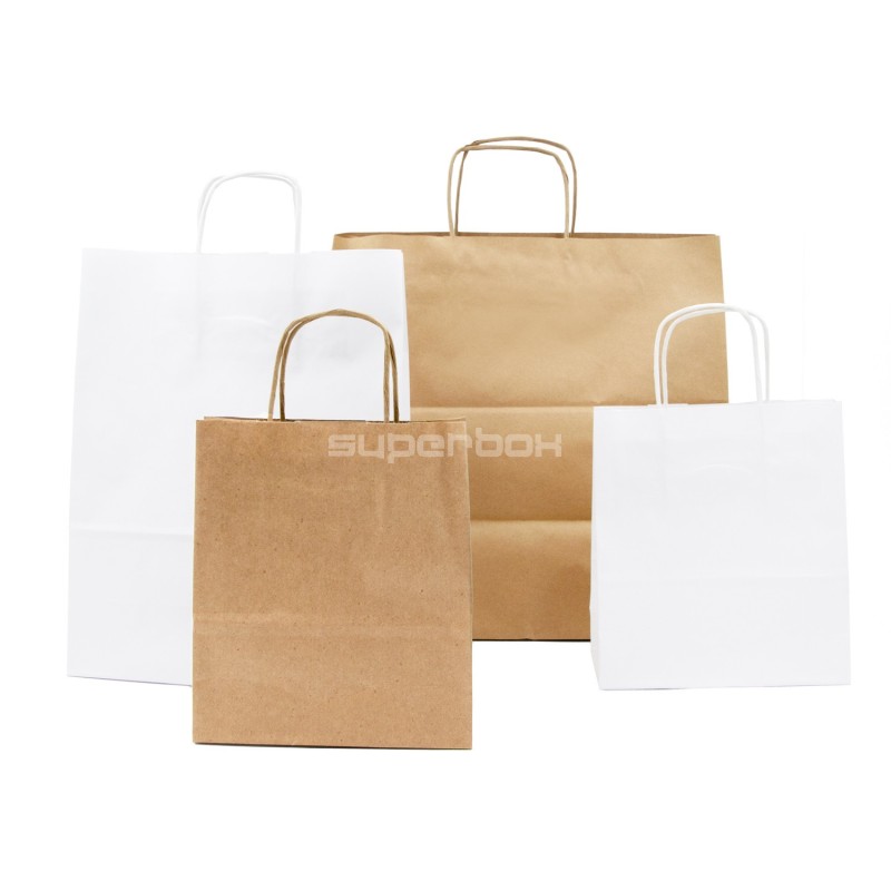 Small Brown Eco-Friendly Paper Bag with Twisted Handles