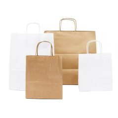 Brown Eco Paper Bag with Twist Paper Handles