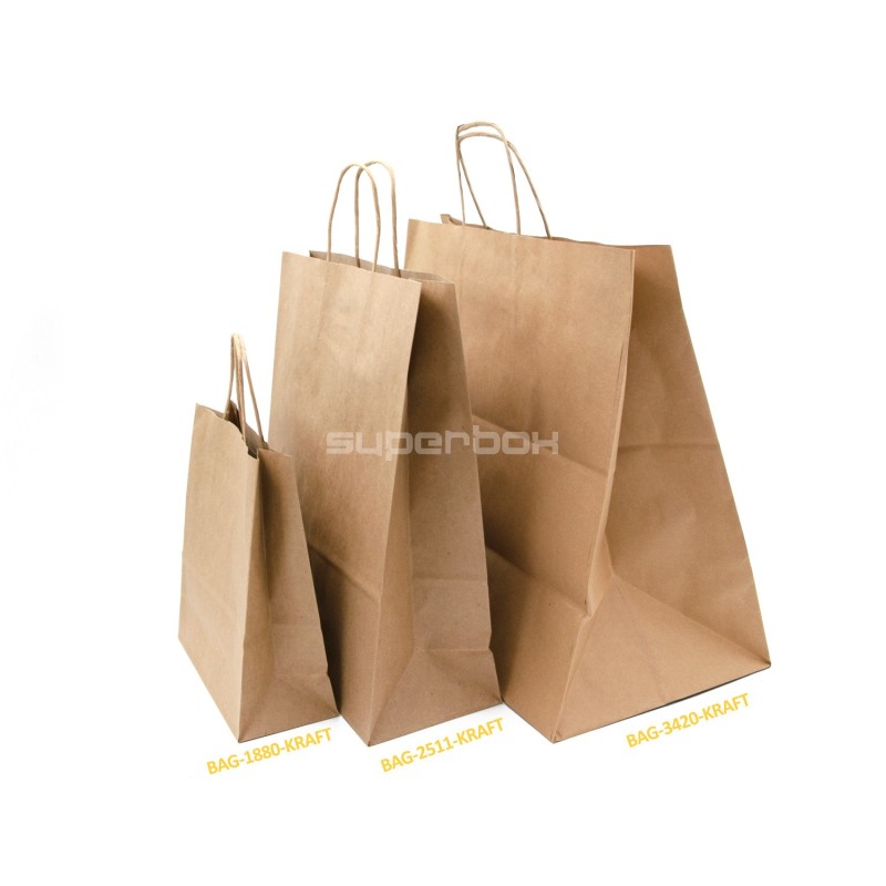 Small Brown Eco-Friendly Paper Bag with Twisted Handles