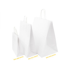 White Large  Paper Bag with Twist Paper Handles