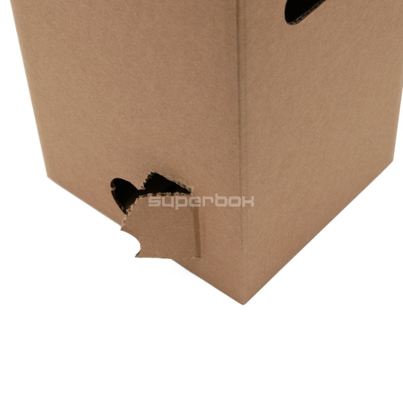 Cardboard Box for Juice Bag, 5 l