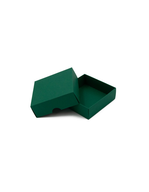 Kaheosaline väike nelinurkne smaragdist kinkekarp