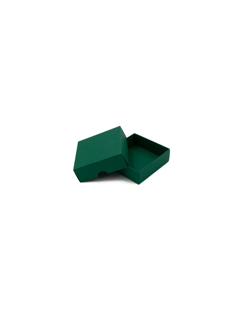 Kaheosaline väike nelinurkne smaragdist kinkekarp