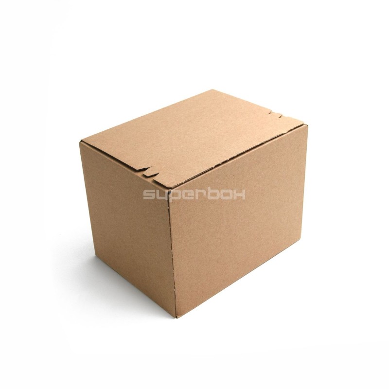 E-commerce Box with Tear-off Strip for Size M Post Terminals