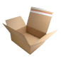 Large Shipping Box with Adhesive Tape and Tear-off Tape