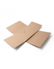 Universal Package for Parcels