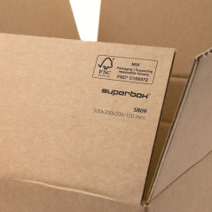 Large Shipping Box with Two Height Levels